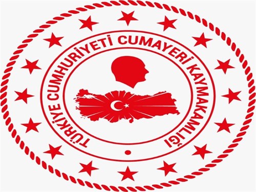 11.06.2021 TARİHLİ VE 2021/31 SAYILI DÜZCE İLİ OLAĞANÜSTÜ UMUMİ HIFZISSIHHA MECLİS KARARI